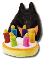 Happy Birthday to Toby