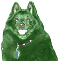 Saint Patty Toby