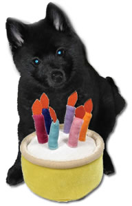 Happy Birthday Buddy