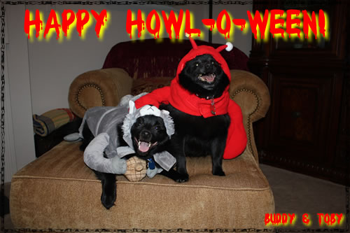 Howl-O-Ween 2009